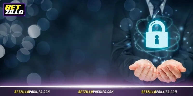 Types of Information Betzillo Collects from Users